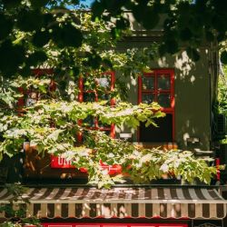 budget accommodation in city